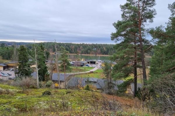 en vy över ett skolområde