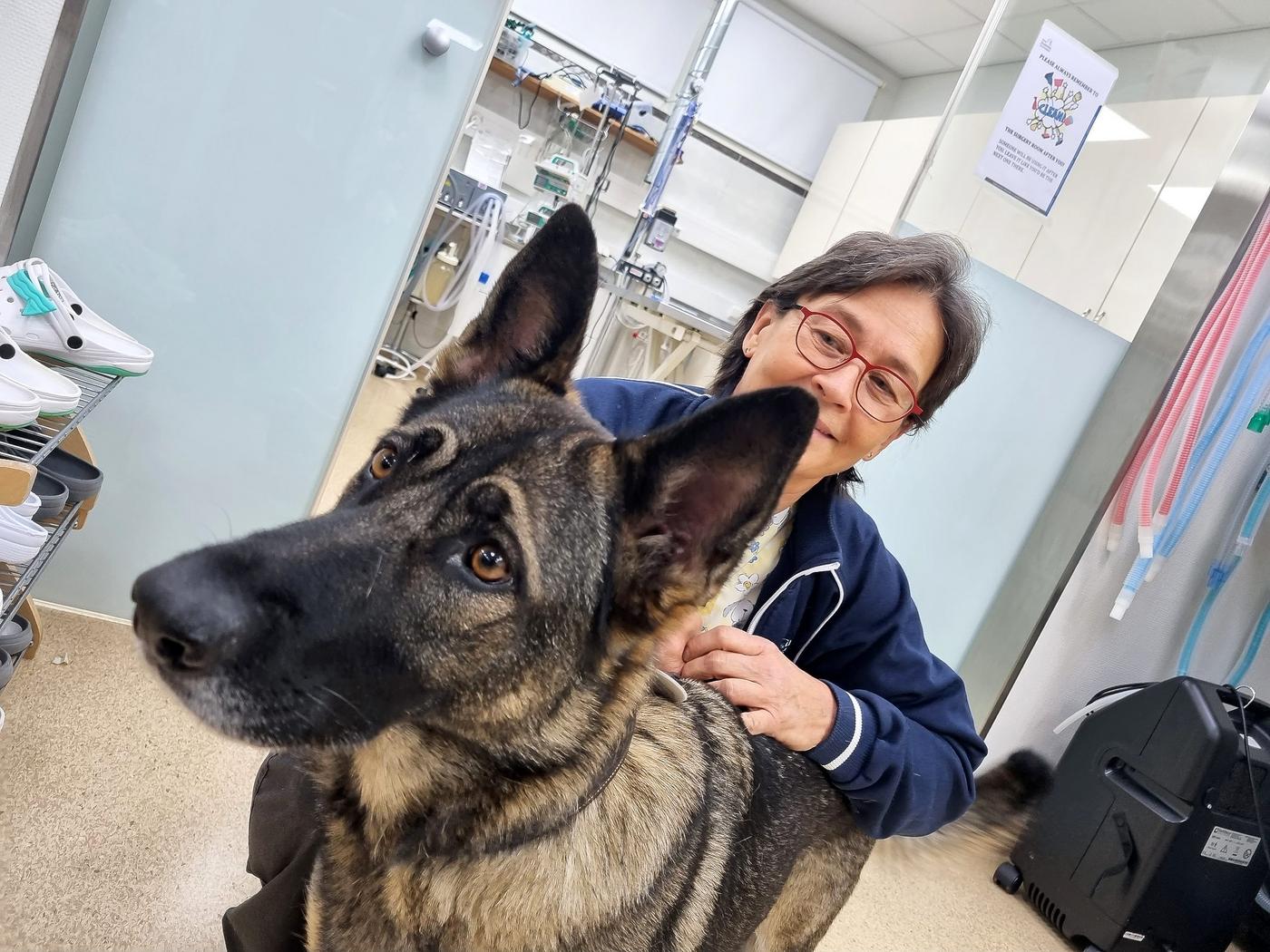 hund och kvinna