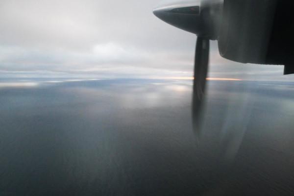 utsikt från ett flygplan
