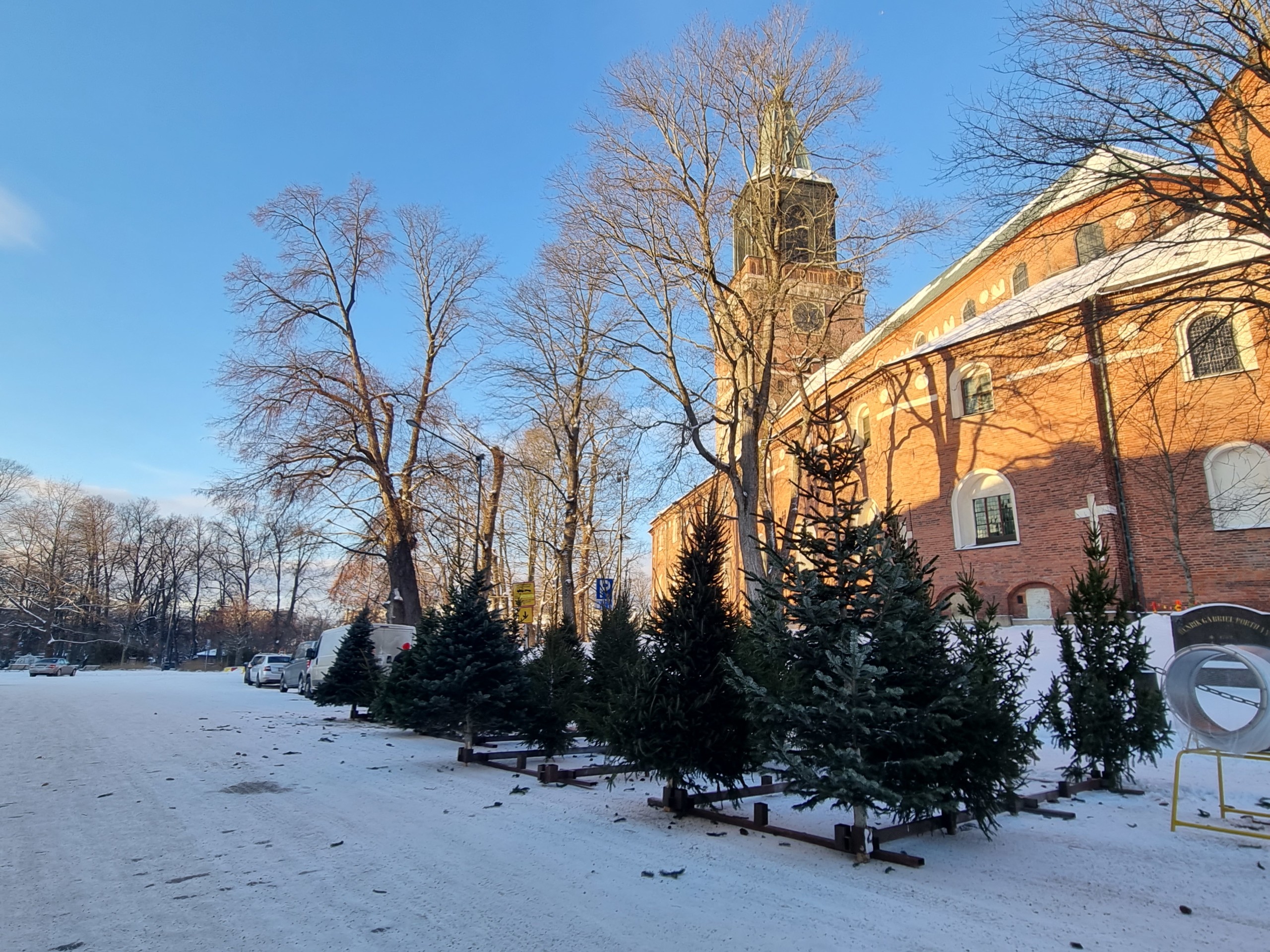 kyrka och granar och snö