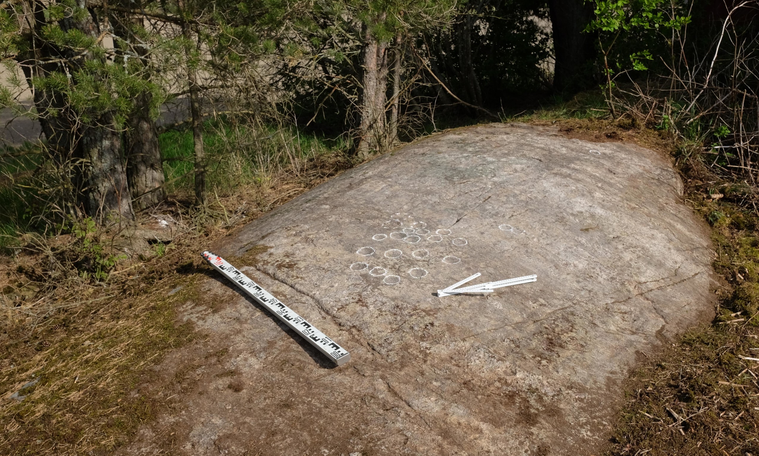 Ett klippblock i skogsmiljö med utritade vita ringar. Bredvid markeringarna ligger en måttstock.