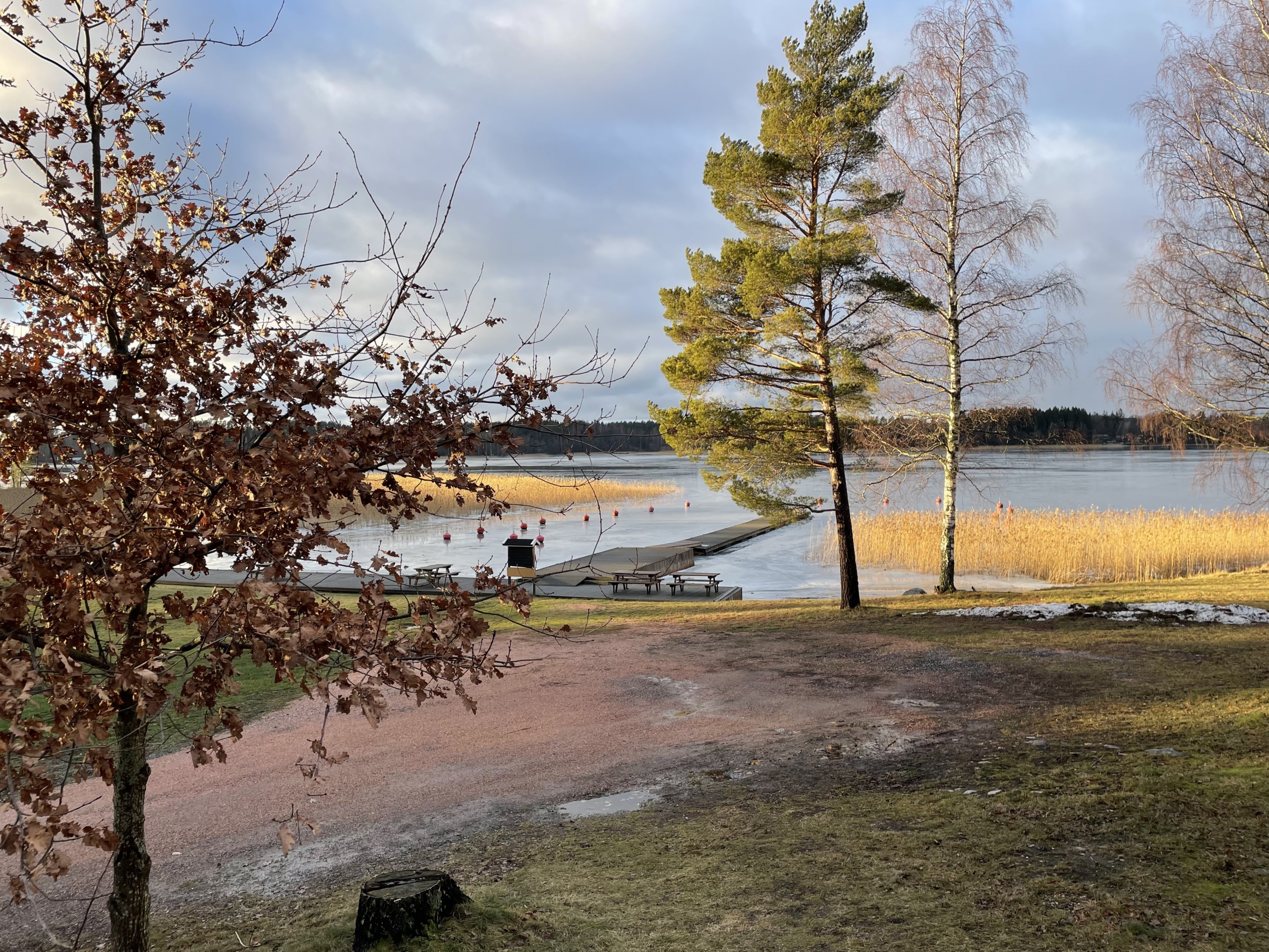 strand i höstfärger