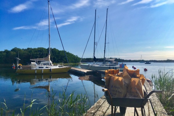 hav och brygga och träd och båt