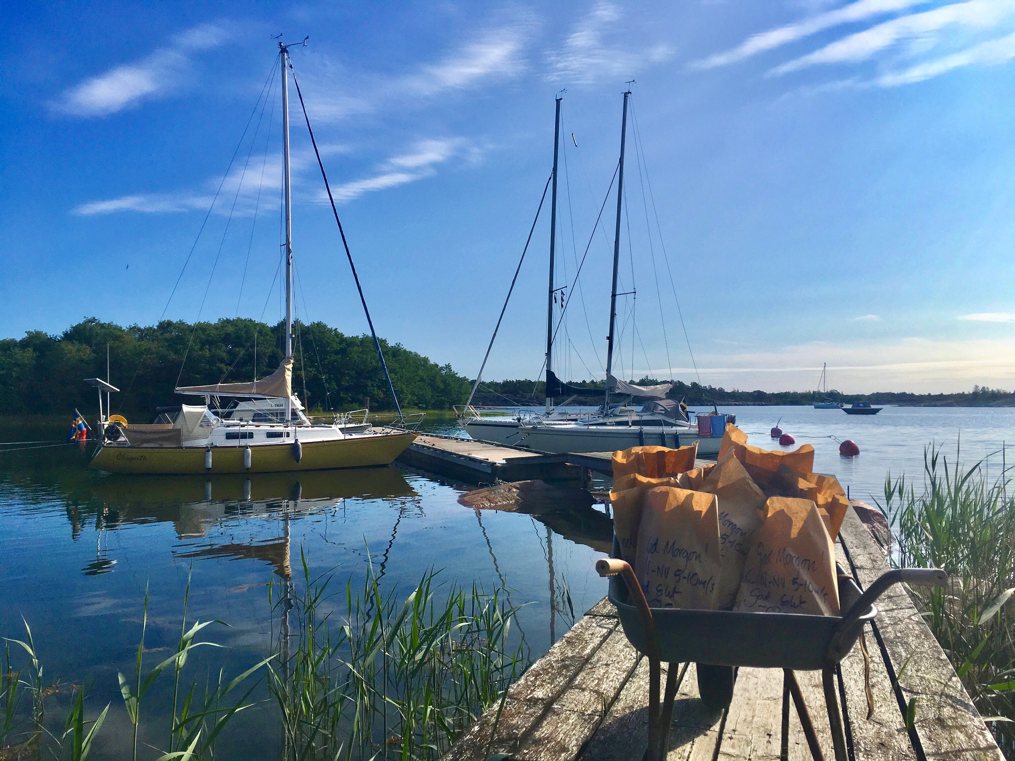 hav och brygga och träd och båt
