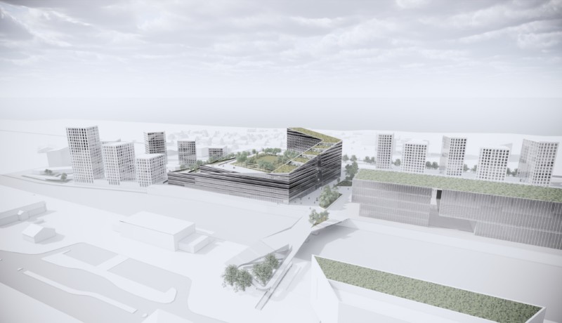 stora hus i vitt