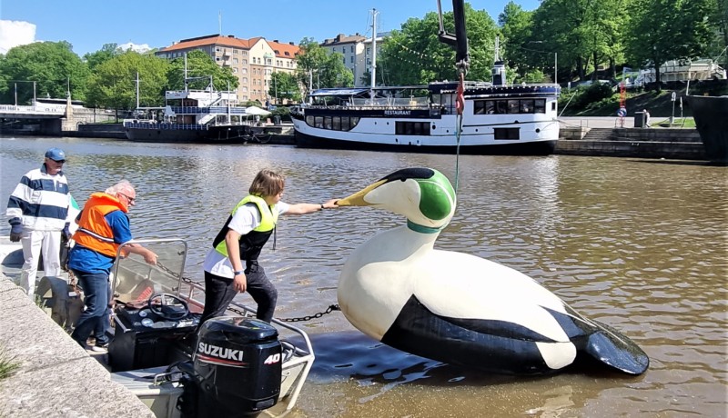 pojke, män och fåglar och en å