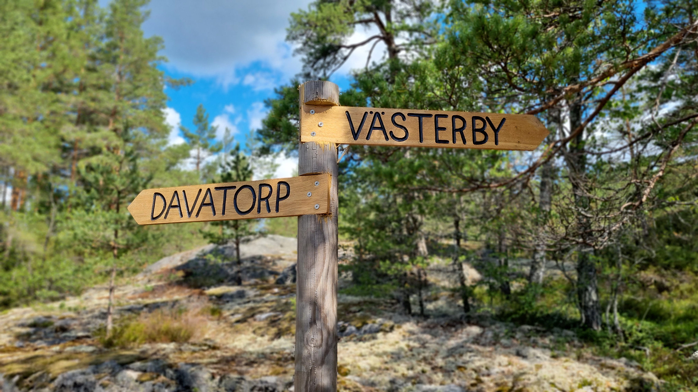 Skyltar i skog.