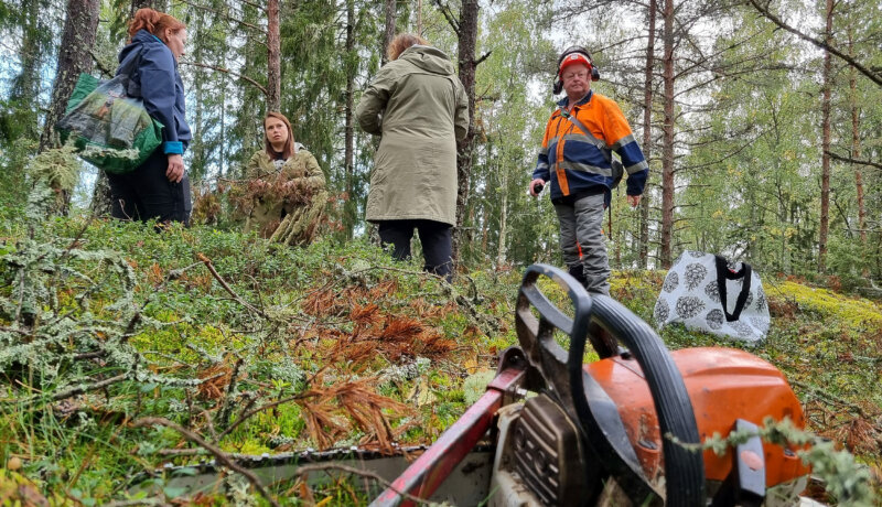 tre kvinnor och en man står i en skog med en motsorsåg i förgrunden