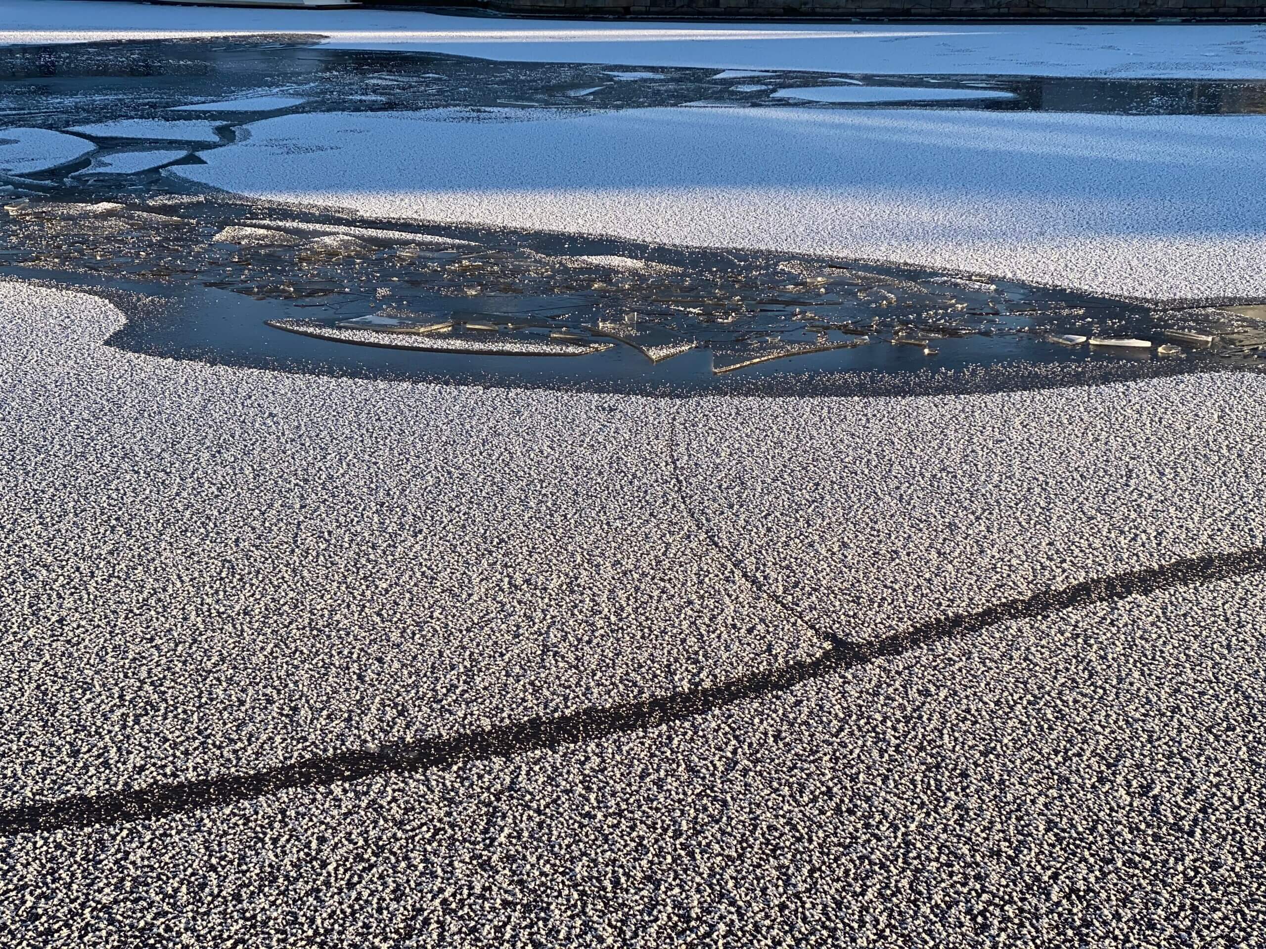 Isen på Aura å blir tjockare och tjockare.