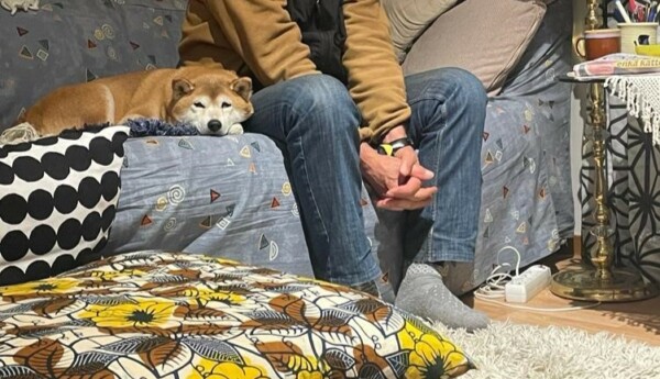 Man med hund i soffa.