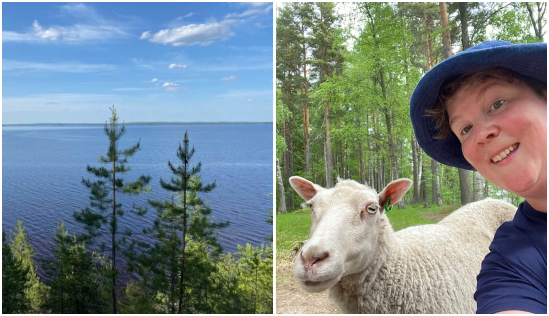 kvinna och får