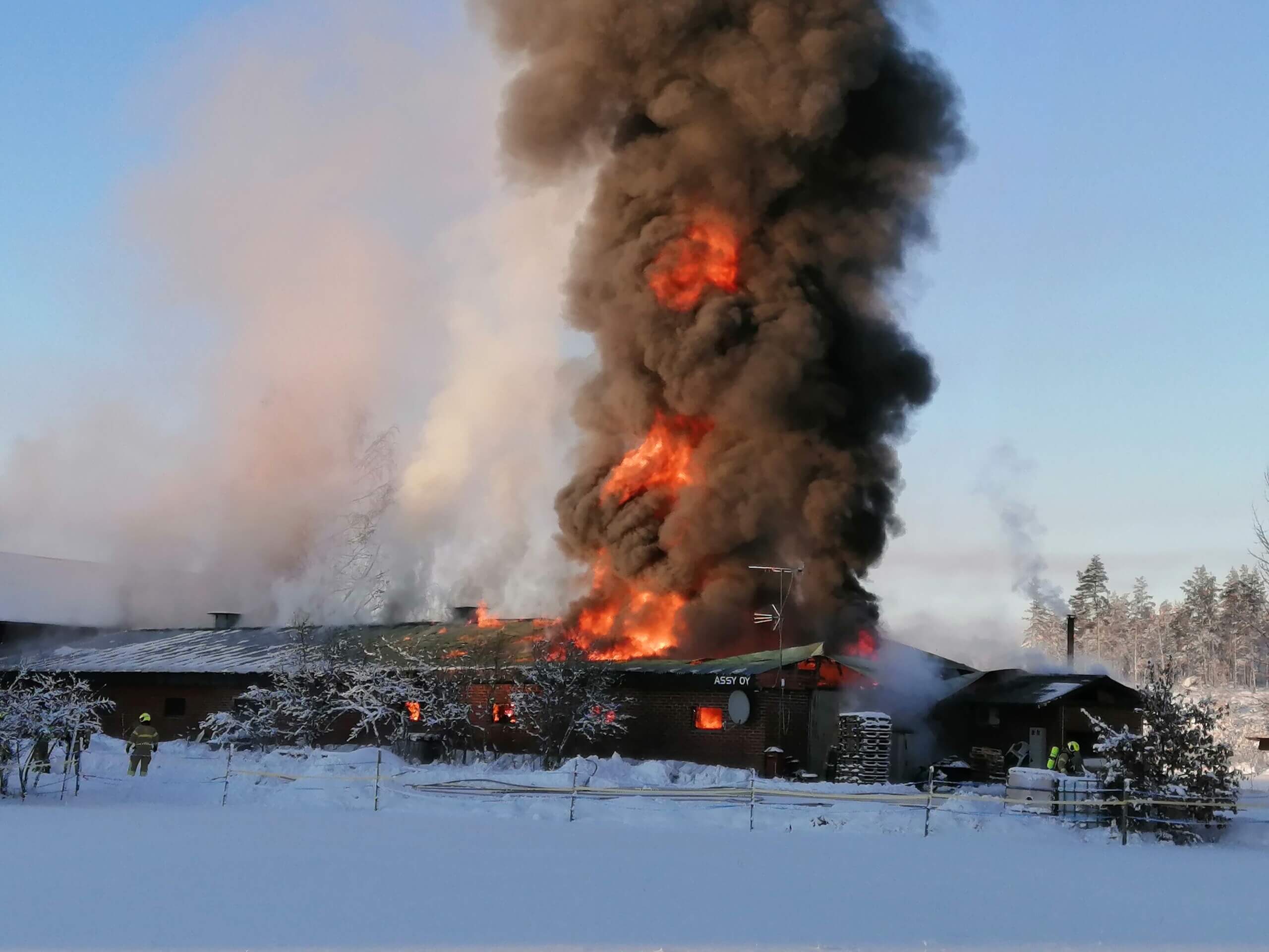 brand
