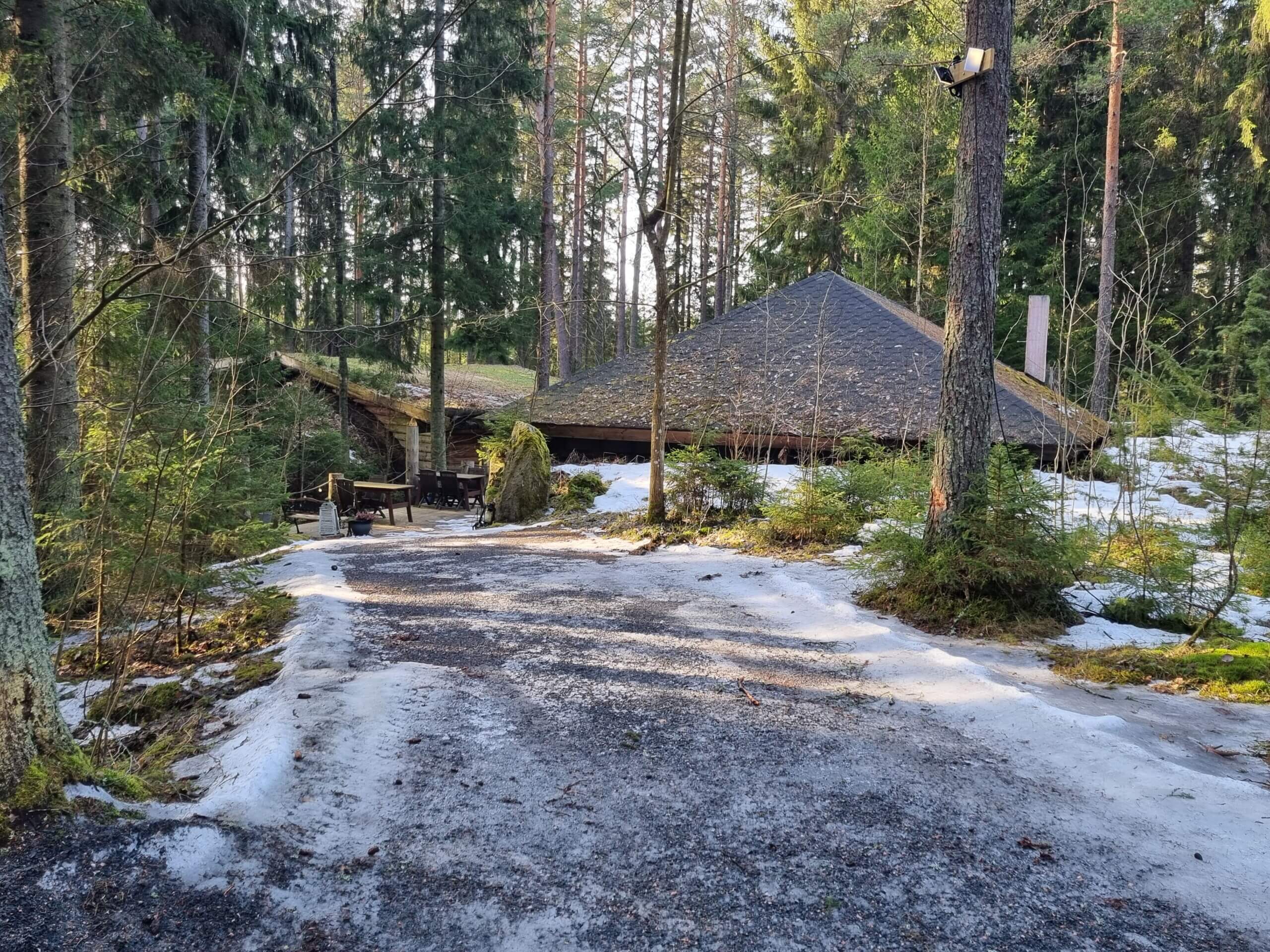 Tak på bastubyggnad som sticker upp i skogsområde