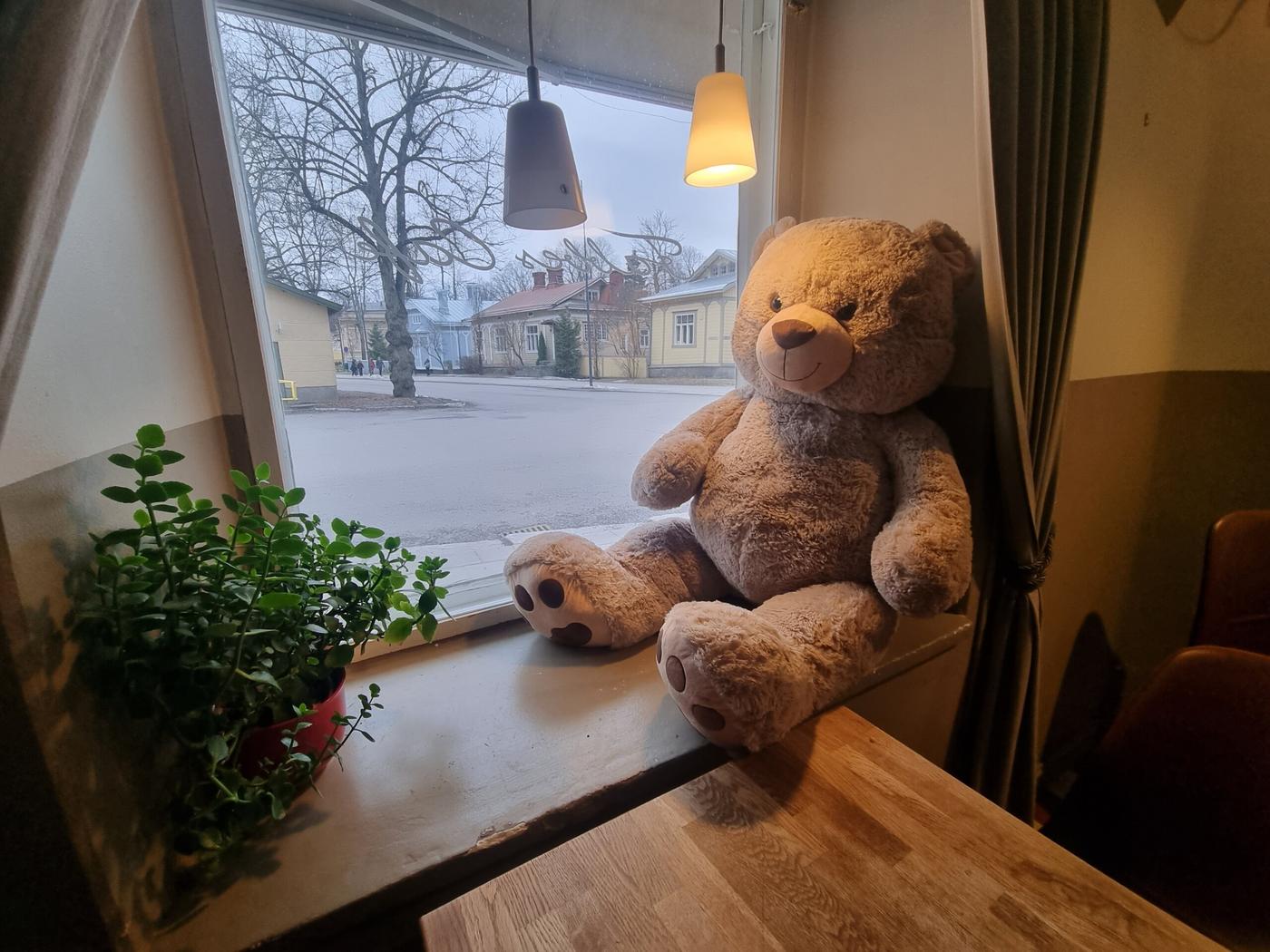 nalle i fönster