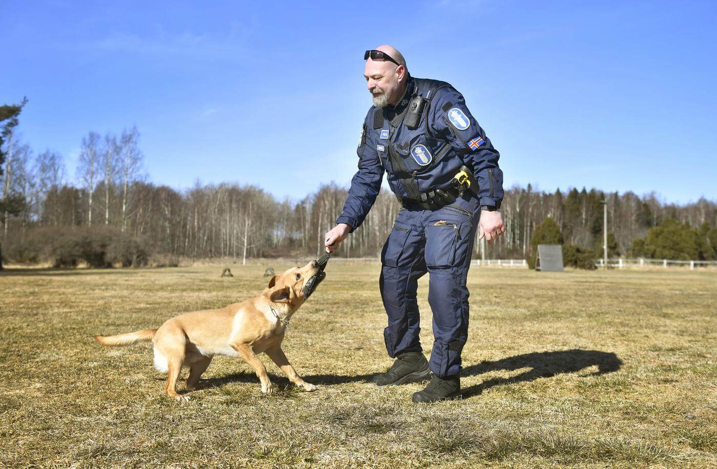 Polisman leker med polishund