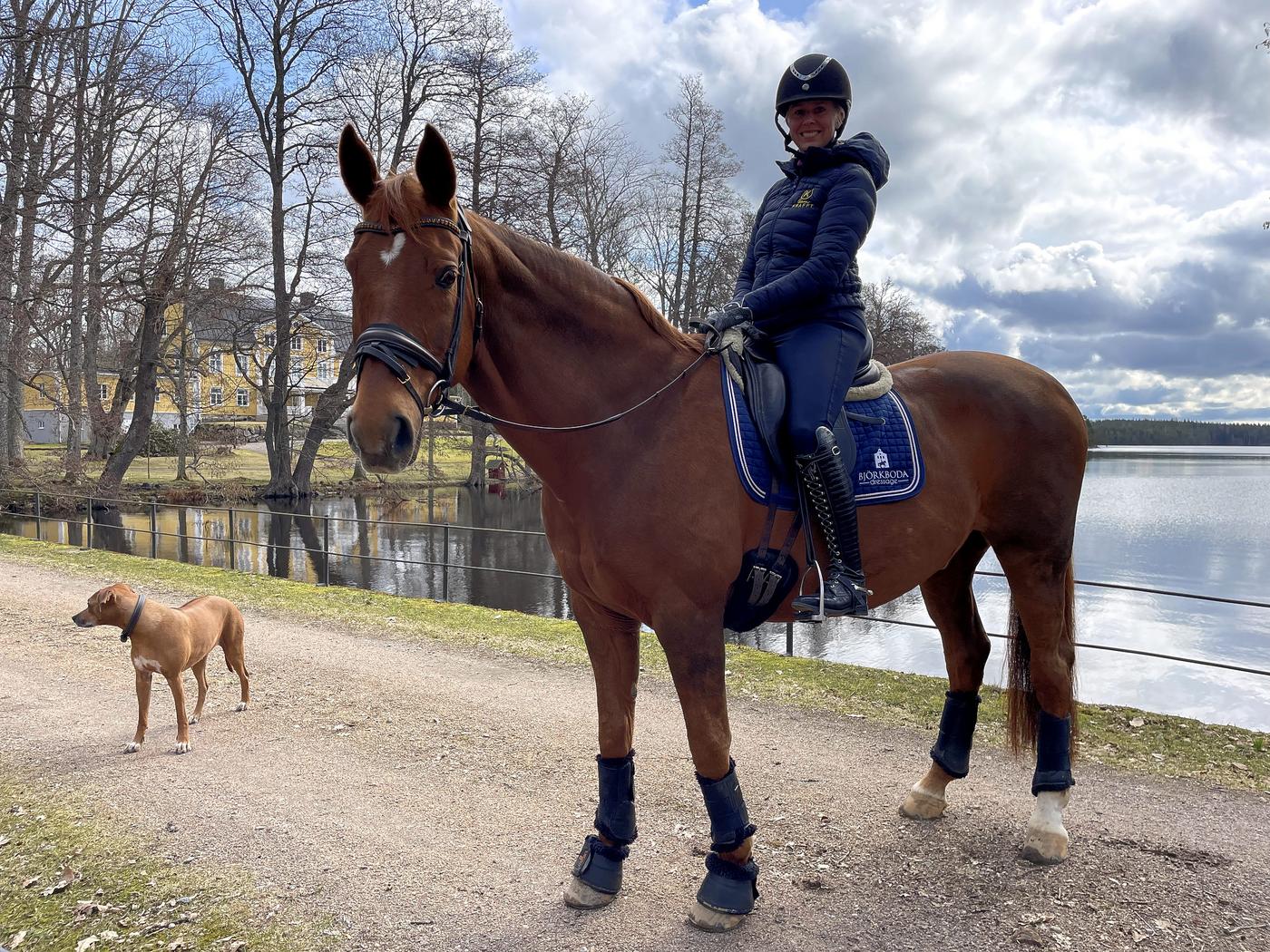 Kvinna på en häst vid vatten . En hund syns i bakgrunden