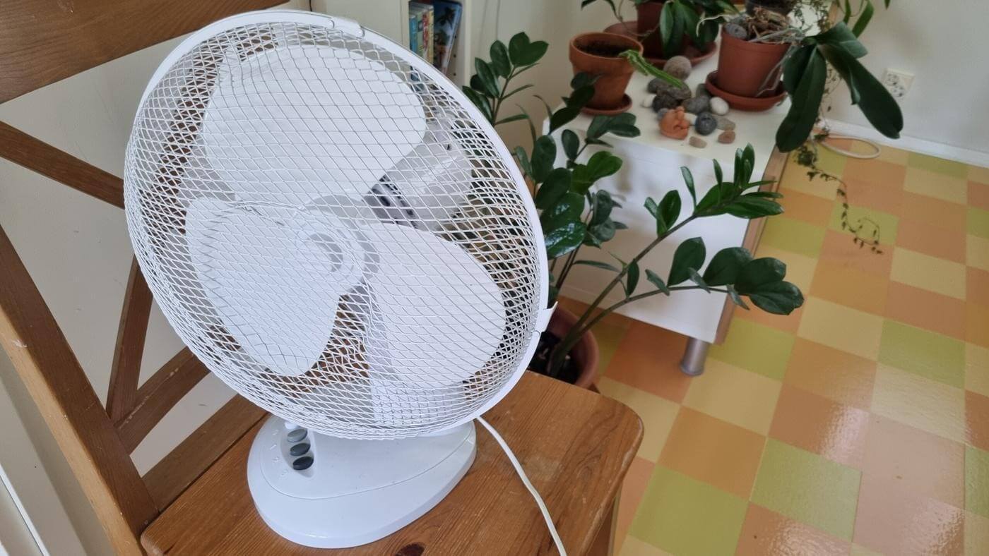 en fläkt på en stol med krukväxter bakom
