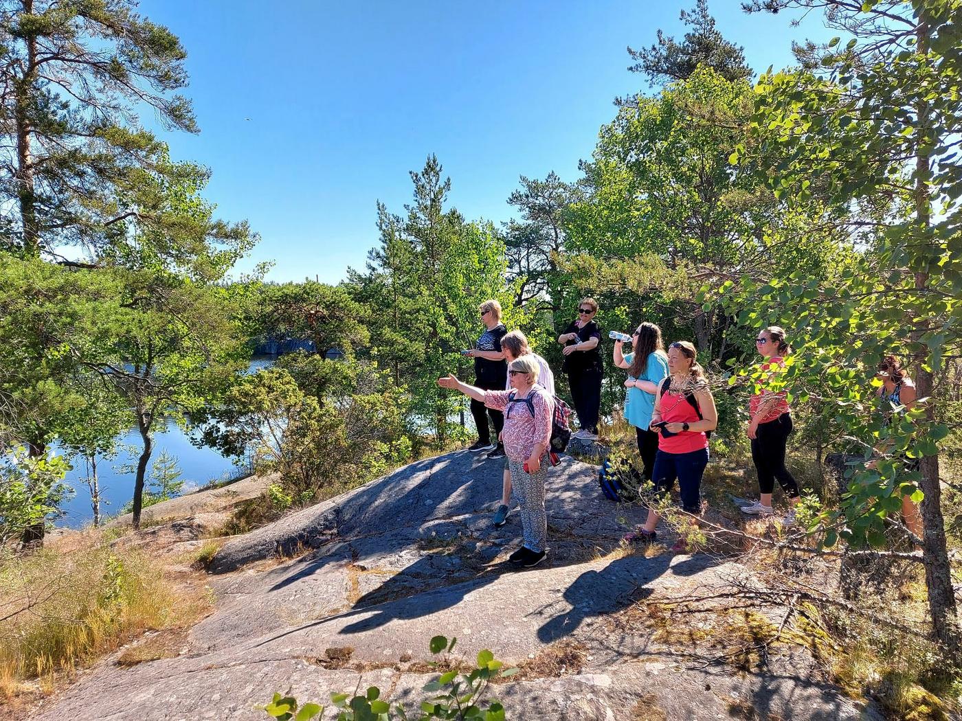 en turistgrupp i naturlandskap