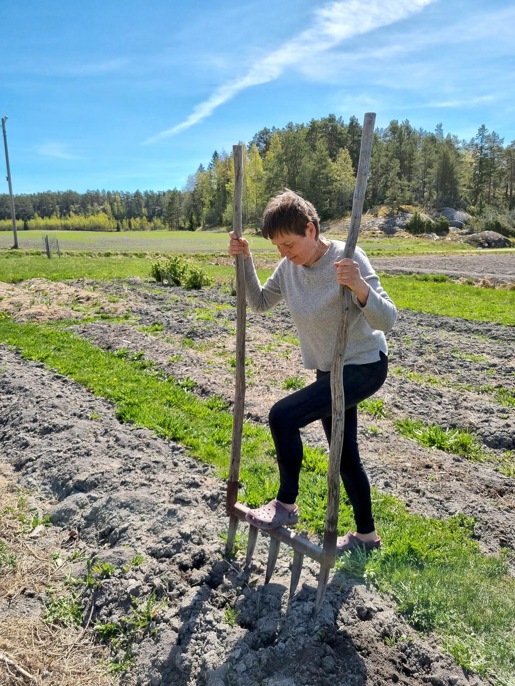 Kvinna som bryter jorden med en bredgrep på våren.