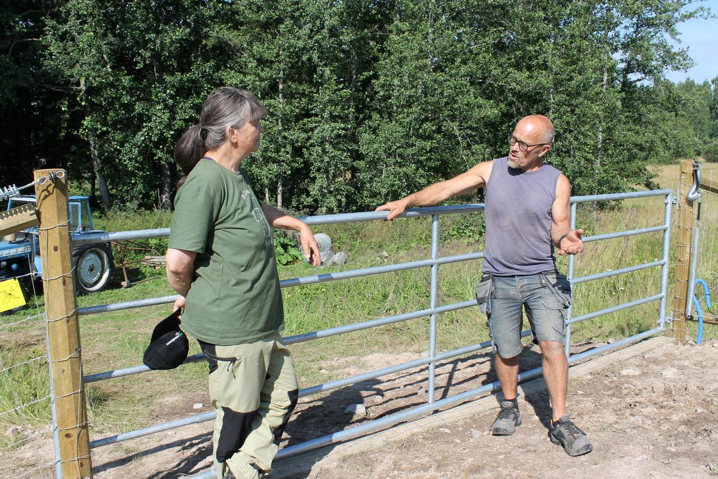 Fårfarmaren Ia Asén och entreprenören Tom Lindfors står vid en grind till en fårhage i Tenala och diskuterar.