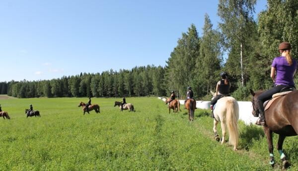 En grön åker med gröna träd som växer längs med åkerns kanter. PÅ bilden ser man ensilagebalar och flera personer som rider hästar i en rad.