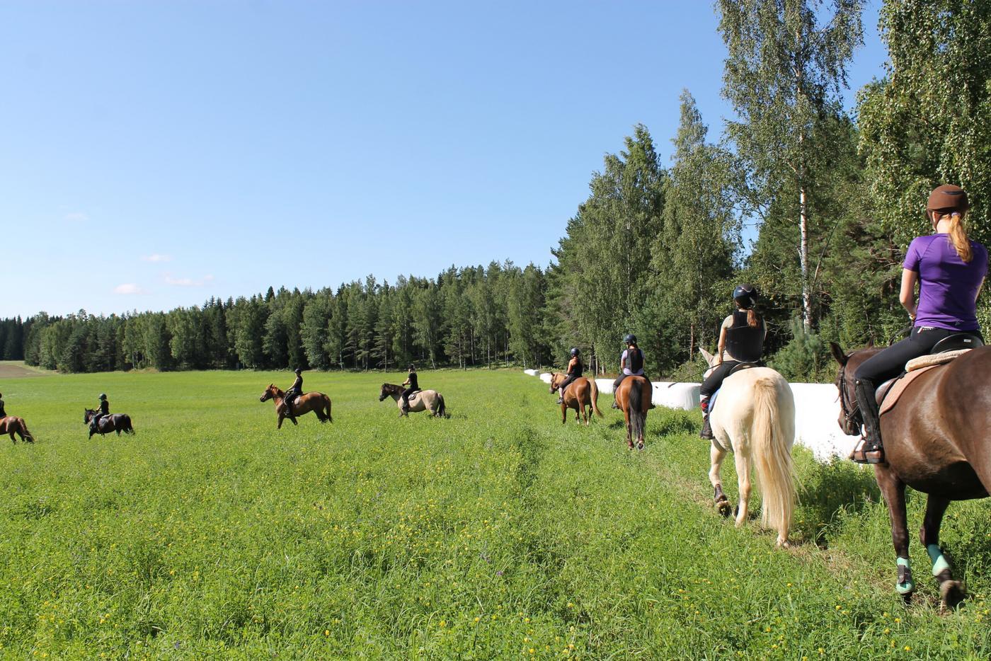 En grön åker med gröna träd som växer längs med åkerns kanter. PÅ bilden ser man ensilagebalar och flera personer som rider hästar i en rad.