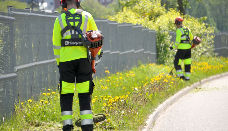 Pojkar klipper gräset med maskingräsklippare.