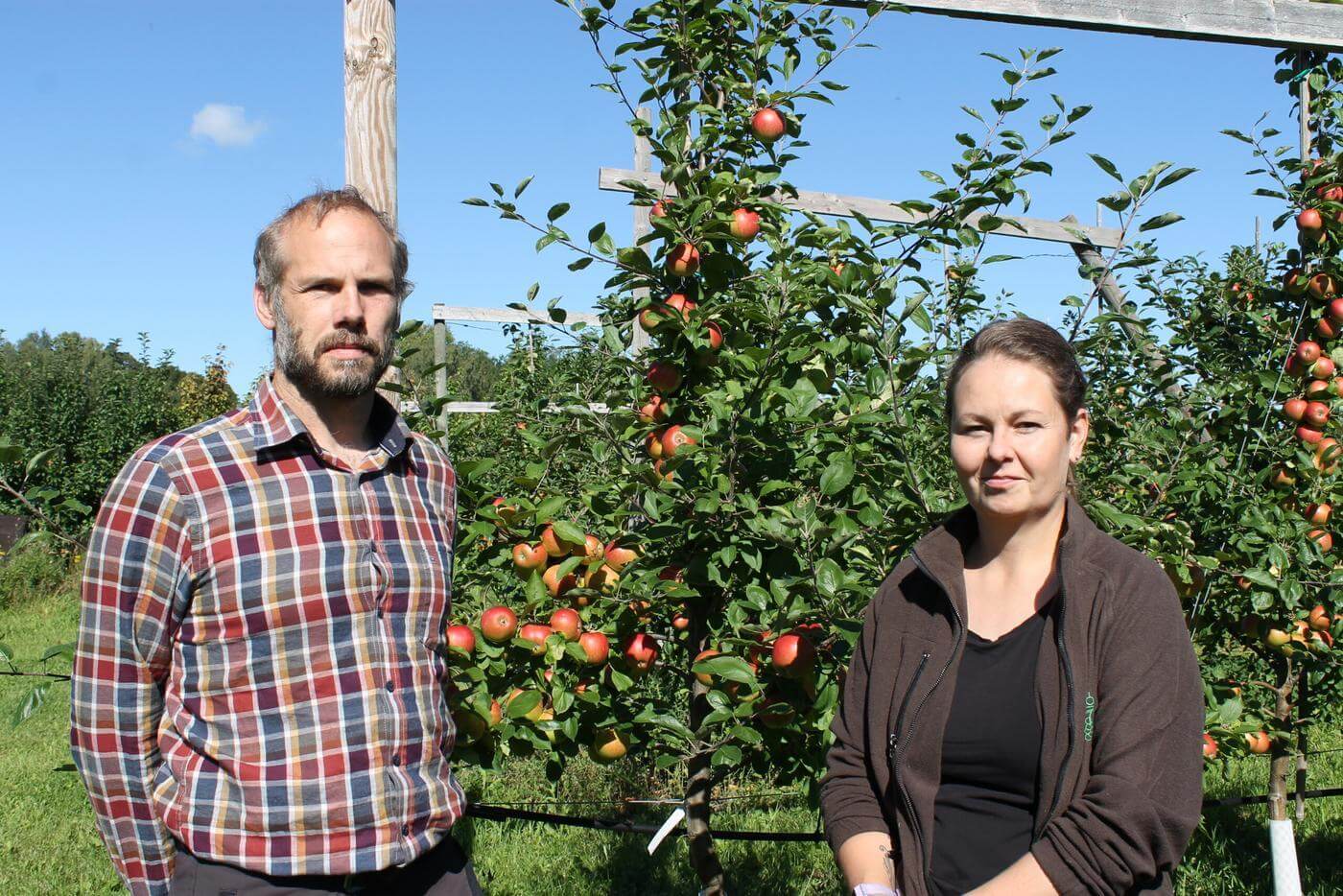 En man och en kvinna står bredvid varandra och tittar in i kameran. Mellan dem ser man ett äppelträd. Paret står i sin äppelodling i Pojo.