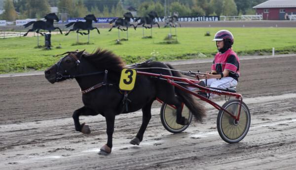 Ponnyekipage på en travbana