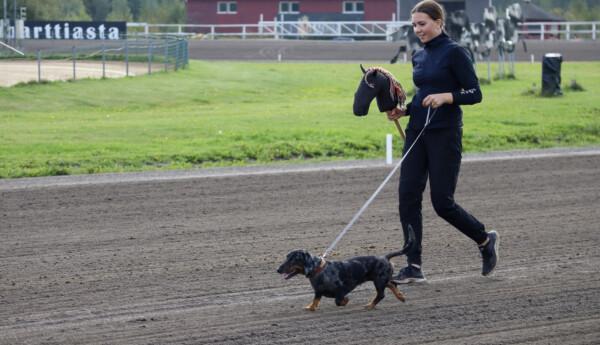 En kvinna och en tax promenerar på travbana. Kvinnan håller en käpphäst i ena handen och hundens koppel i den andra handen